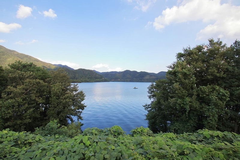 충주호캠핑월드 시설 사진 16