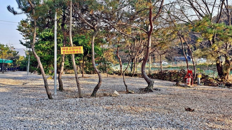 산우물 북 캠핑장 시설 사진 41