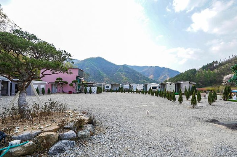 완주달빛카라반 대표 사진