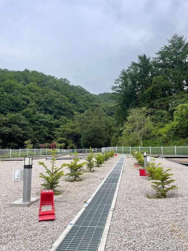 블루베리캠핑장 대표 사진