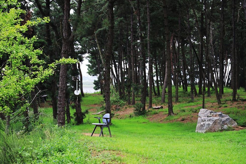 대부도 아라뜰 캠핑장 시설 사진 5