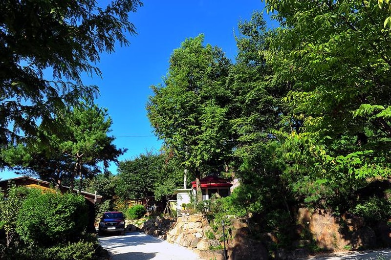 금동산야 대표 사진