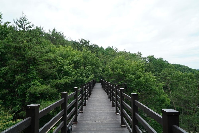 덕유대자동차야영장 시설 사진 77