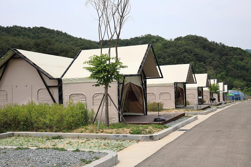 곰취향 가득한 팔랑골 캠핑장 시설 사진 7