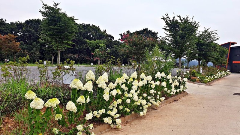 노을빛바다 캠핑장B 시설 사진 26