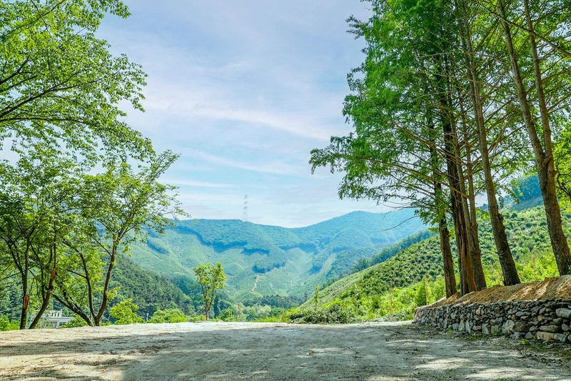 (주)스노우라인캠핑빌리지 시설 사진 5