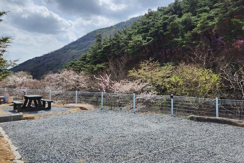 별품은 숲속 캠핑장 시설 사진 10