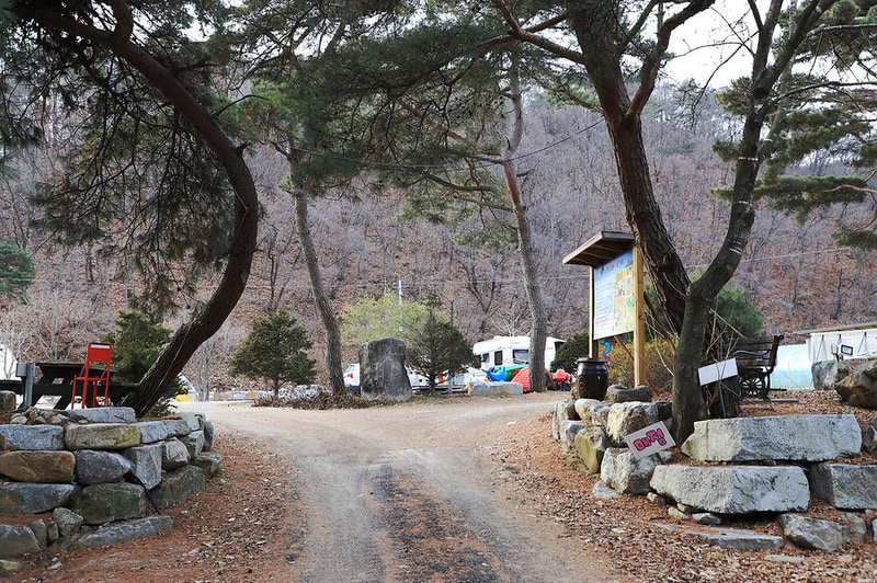 진밭골향기관광농원 야영장 시설 사진 21