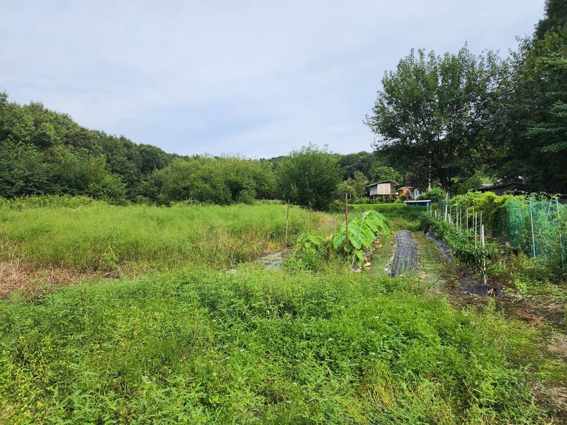 숲속에안뜰 캠핑장 시설 사진 12