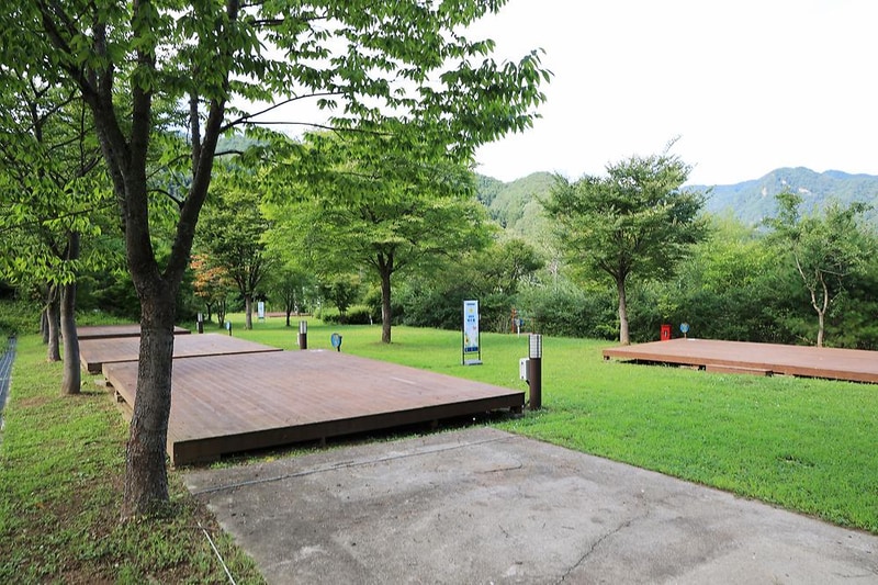 라이프위드도그 시설 사진 17