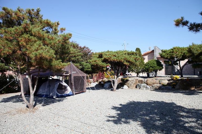 캠프 예그리나 대표 사진