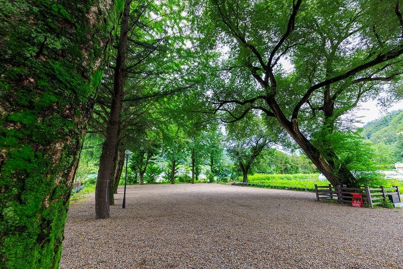 에코팜 부설 오토캠핑장 시설 사진 11