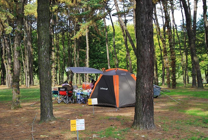 송호국민관광지 야영장 시설 사진 19