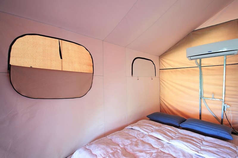 파라독스 애견펜션 / 돔글램핑&오토캠핑장 시설 사진 3