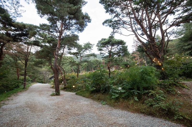 용문산 해와달 시설 사진 10