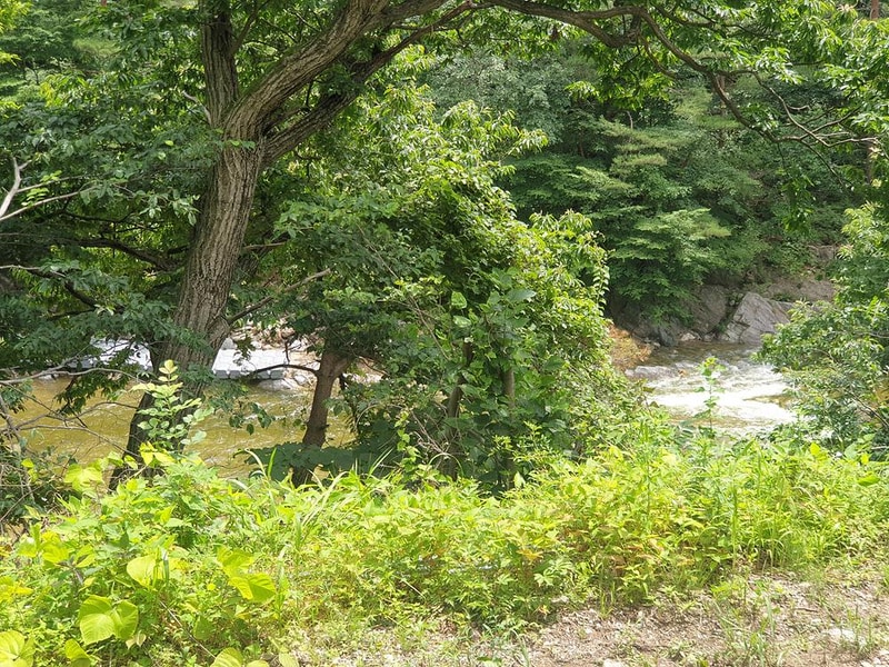 우리들캠핑장 시설 사진 22