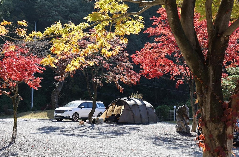 가평랜드 캠핑 앤 카라반 시설 사진 17