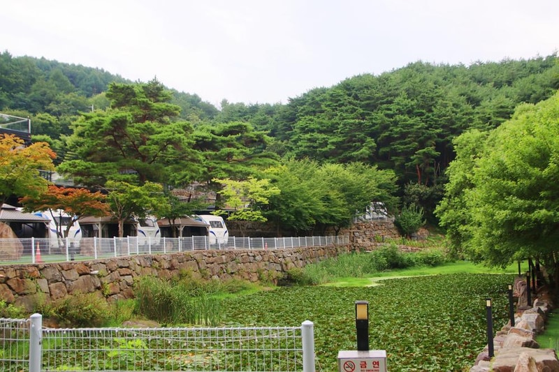 80포레스트카라반캠프 시설 사진 8