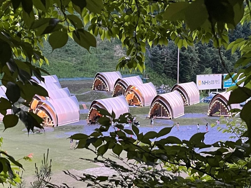 엘리시안 강촌 캠핑파크 시설 사진 1