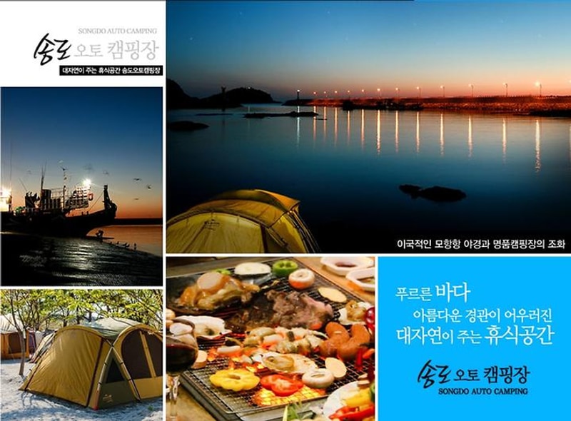 송도오토캠핑장 대표 사진