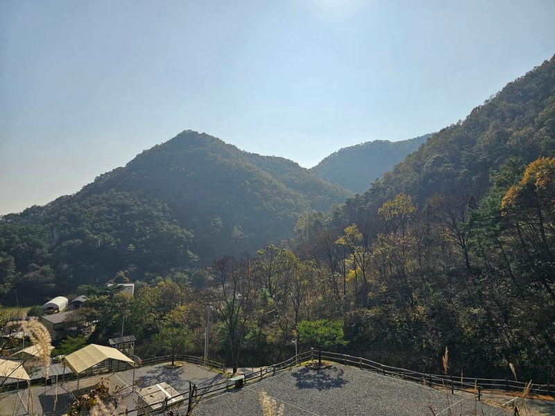 단양 별마루캠핑장 시설 사진 29