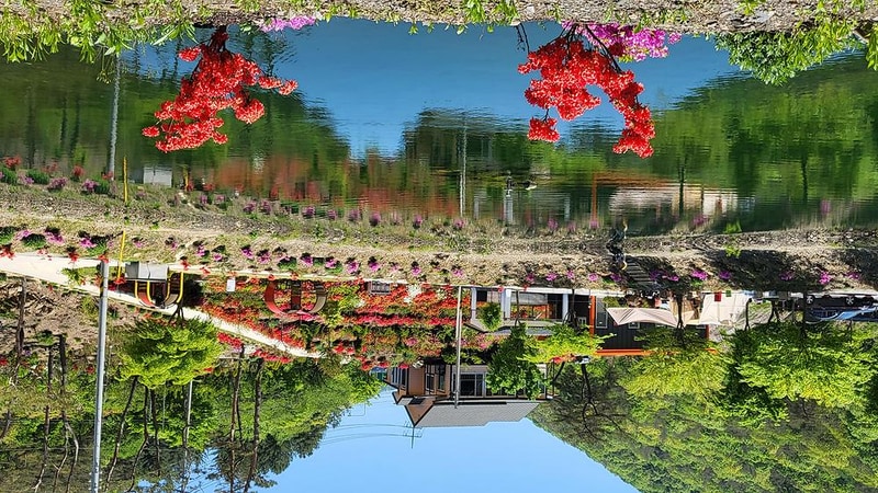 둥지캠핑장 시설 사진 8