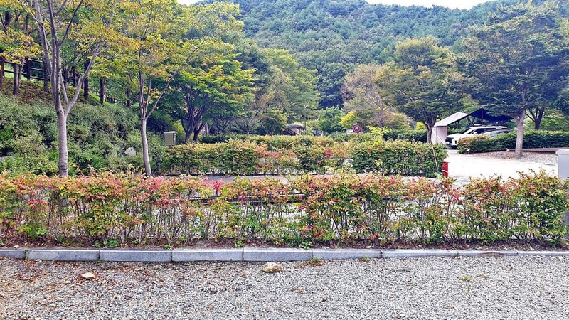 대둔산 수락오토캠핑장 시설 사진 21