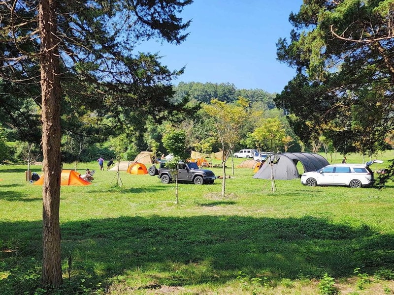 팜파스농원 시설 사진 25