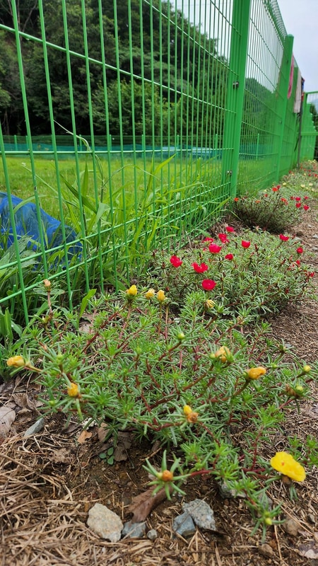 반딧불 캠핑장 시설 사진 7