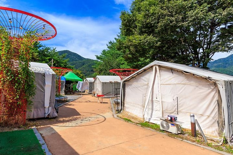 젠틀펫 파라다이스 대표 사진