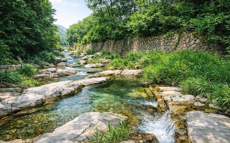 테라스527 캠핑장 시설 사진 28