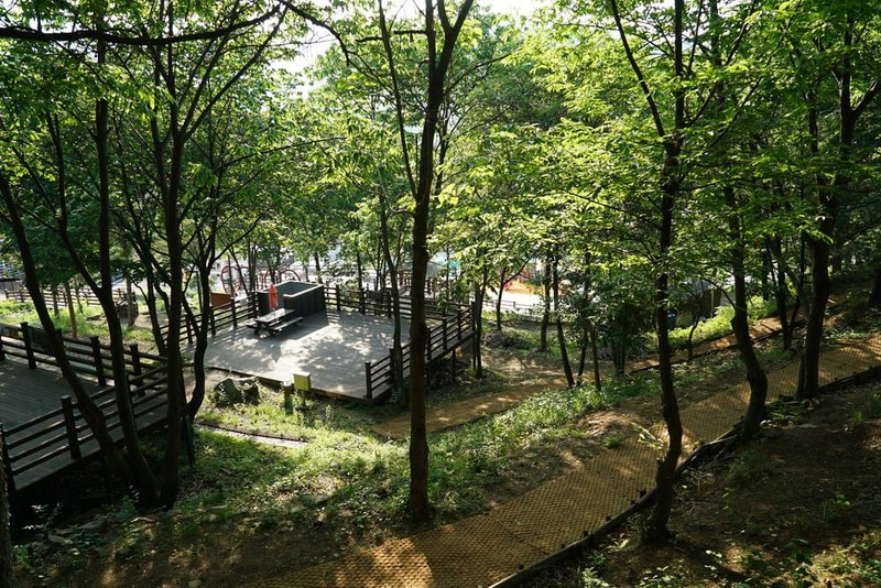 소요별앤숲테마파크 시설 사진 28