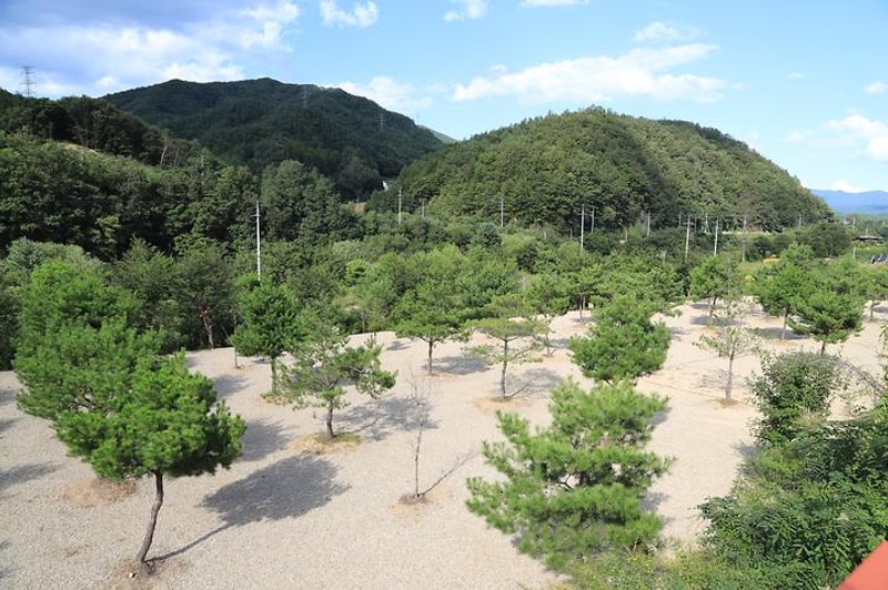 홍천와캠핑 대표 사진