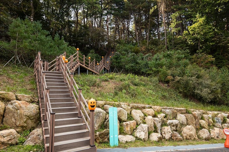 동두천 자연휴양림 시설 사진 13