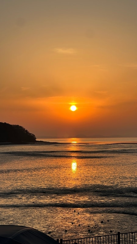 젤리캠핑장
