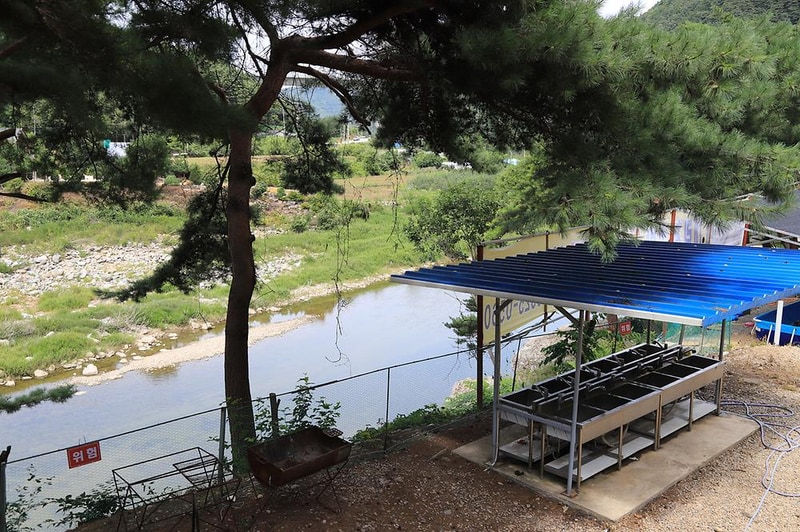 내린천솔밭힐링캠핑장 시설 사진 16