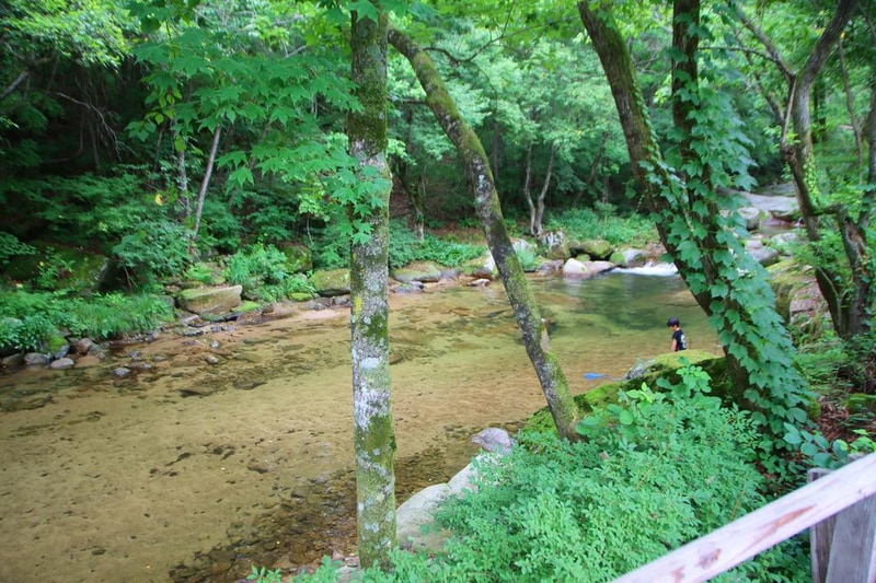 유포리아 캠핑장 시설 사진 11