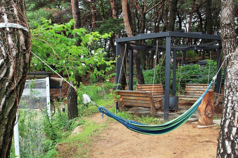 블루마운틴 시설 사진 2