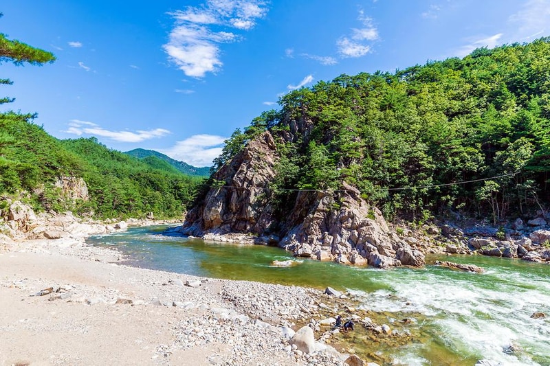 왕피천 숲속 캠핑장 시설 사진 1