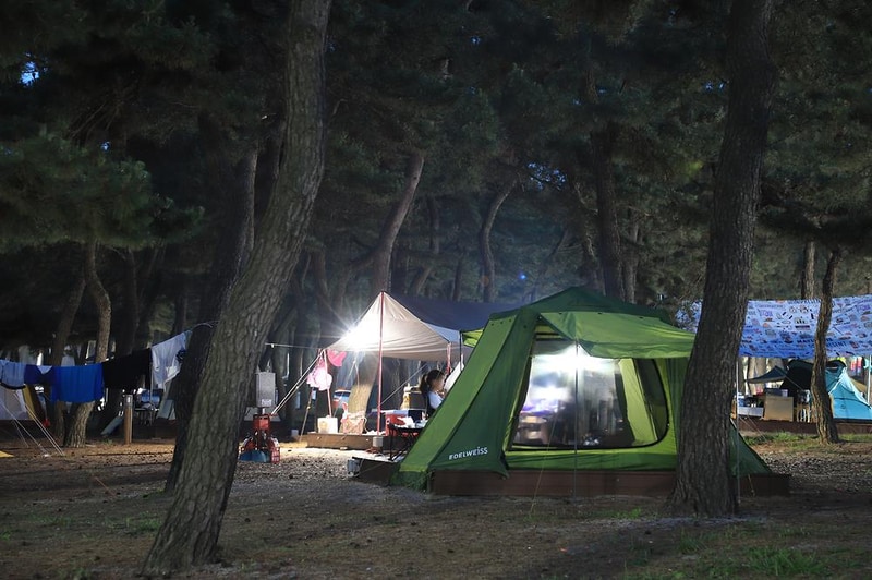 연곡해변 솔향기캠핑장 시설 사진 10