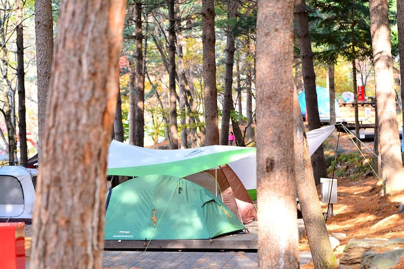 국립유명산자연휴양림(일반) 시설 사진 2