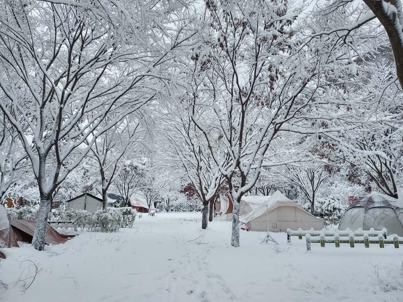 횡성산울림오토캠핑장 시설 사진 24