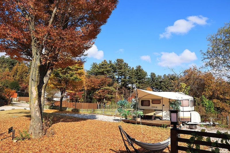 잭스캠프 시설 사진 7