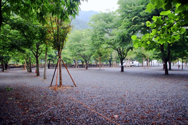 두산 캠핑장 시설 사진 11