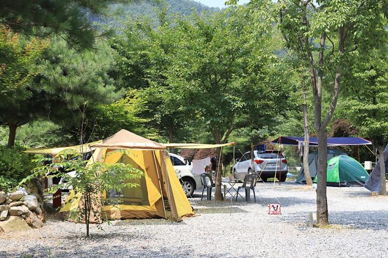 물마루 캠핑장 대표 사진