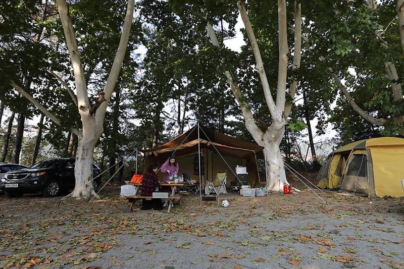 충북대학교 천문대천문체험학교 대표 사진