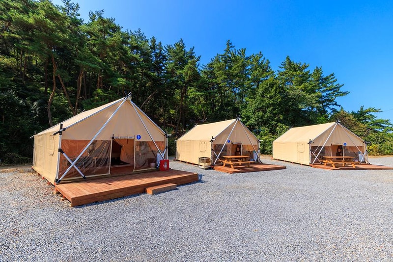 올레유 시설 사진 8