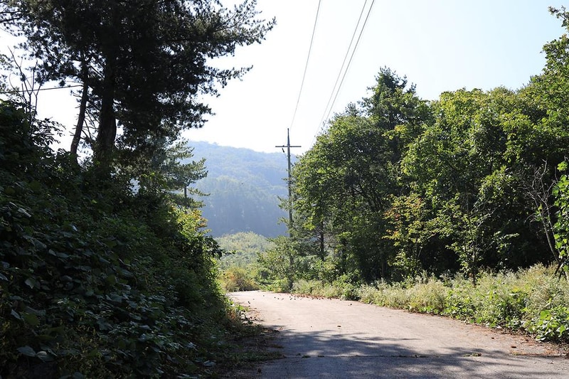 두밀숲캠핑장 시설 사진 8