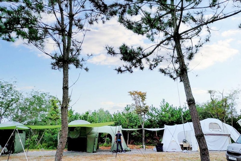 태안노을과바다캠핑앤글램핑 시설 사진 8