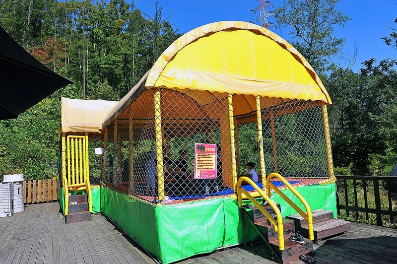 광릉솔개캠핑장 시설 사진 5